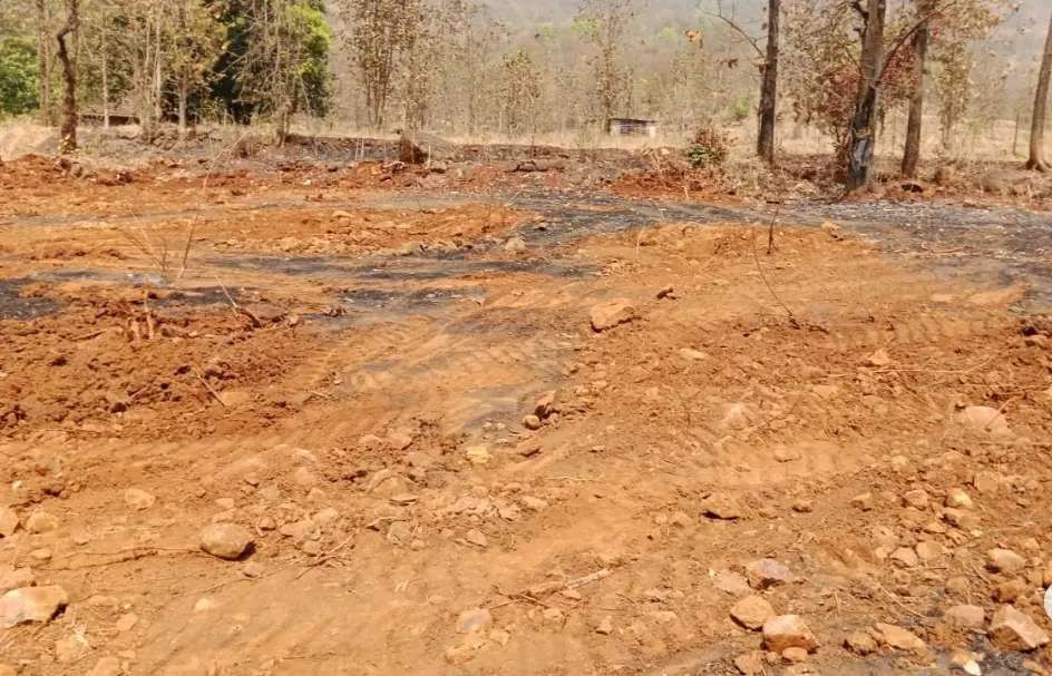 कोकणात आबा काजू लागवड योग्य जमीन विकणे आहे