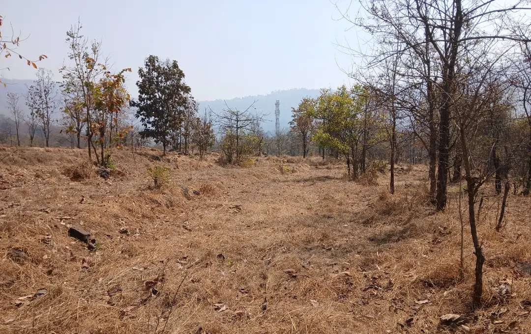 कोकणात आबा काजू लागवड योग्य जमीन विकणे आहे
